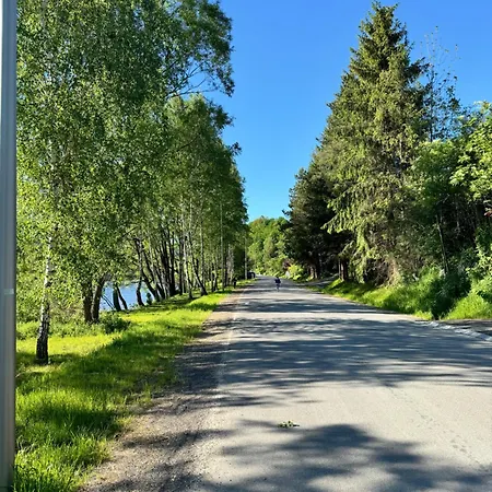 Wioletta 3* Шавница