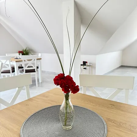 Panzió Wioletta Szczawnica