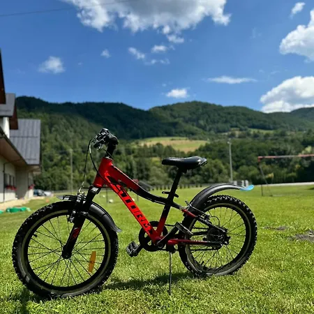Wioletta 3*