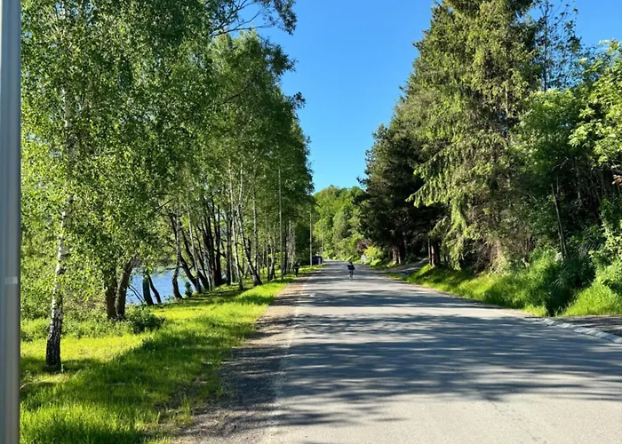 Wioletta 3* Szczawnica